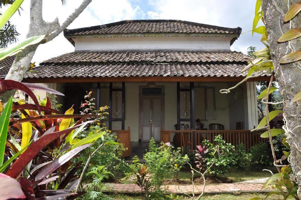 Meme Surung Guesthouse Munduk Eksteriør bilde